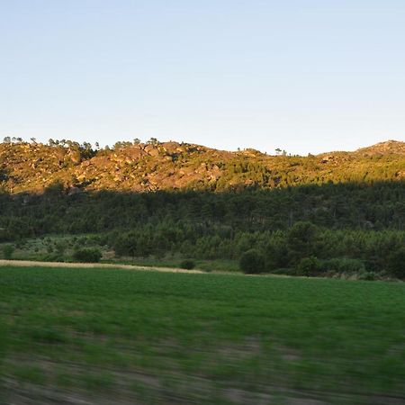 Vila Pinheirinhos - Quinta De Sao Caetano Carapito Exteriér fotografie