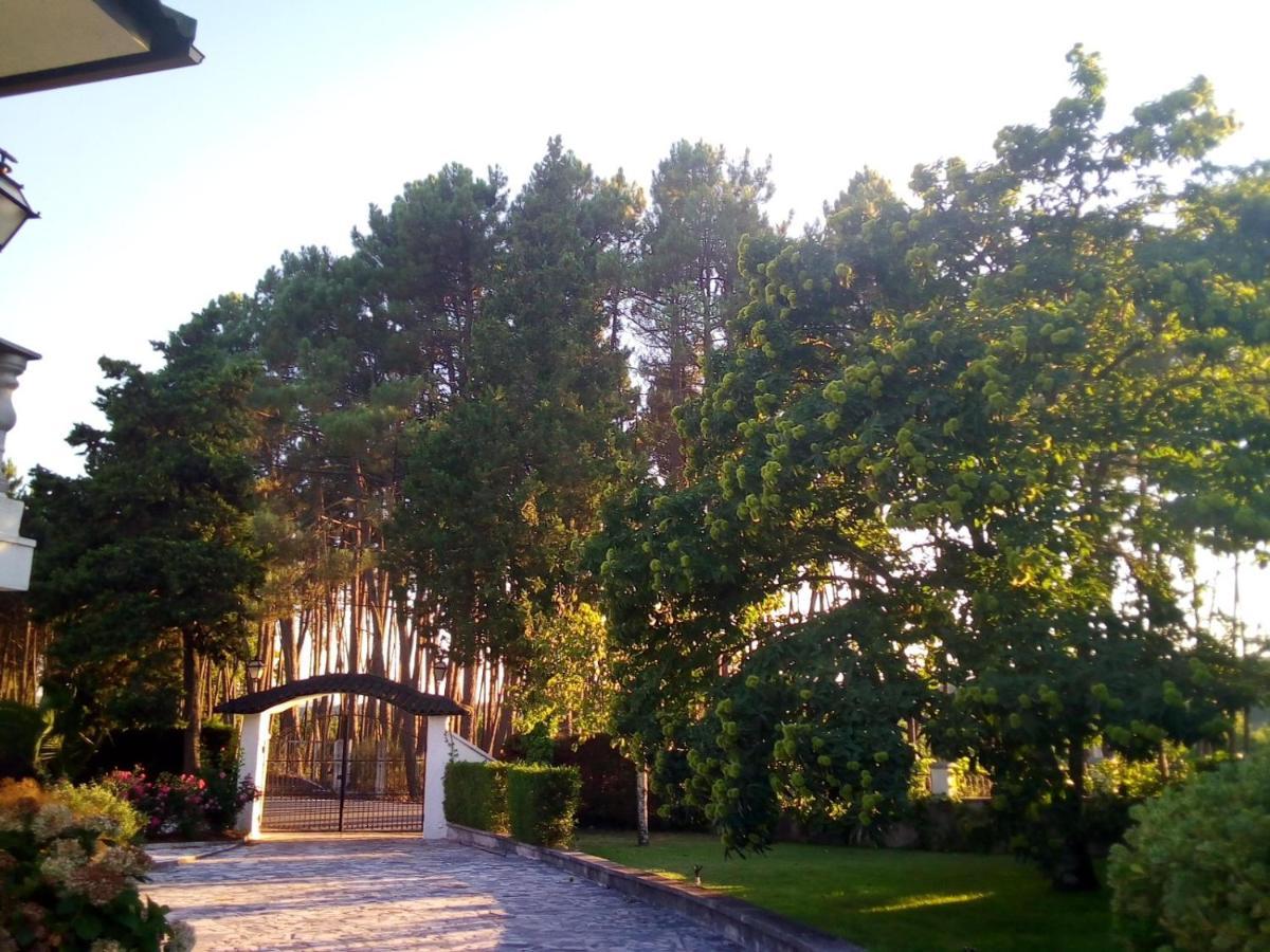 Vila Pinheirinhos - Quinta De Sao Caetano Carapito Exteriér fotografie