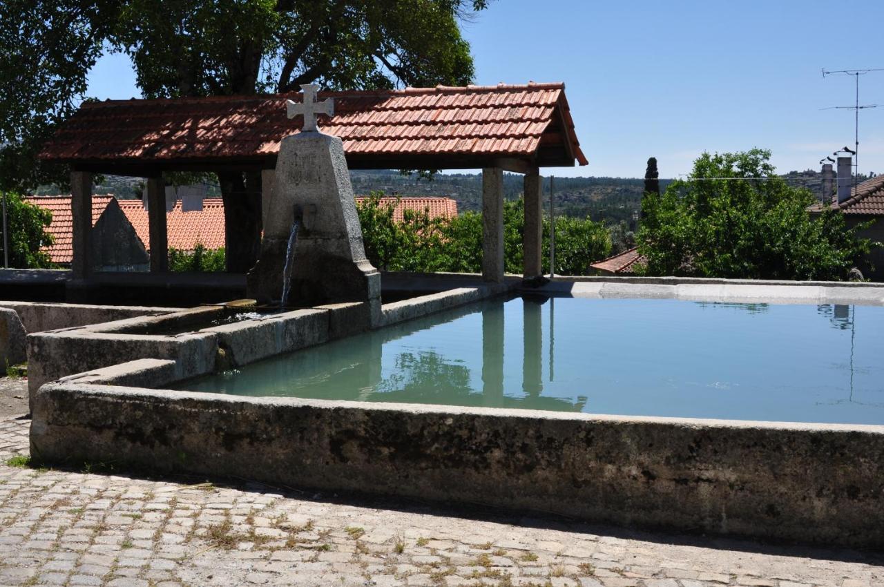 Vila Pinheirinhos - Quinta De Sao Caetano Carapito Exteriér fotografie