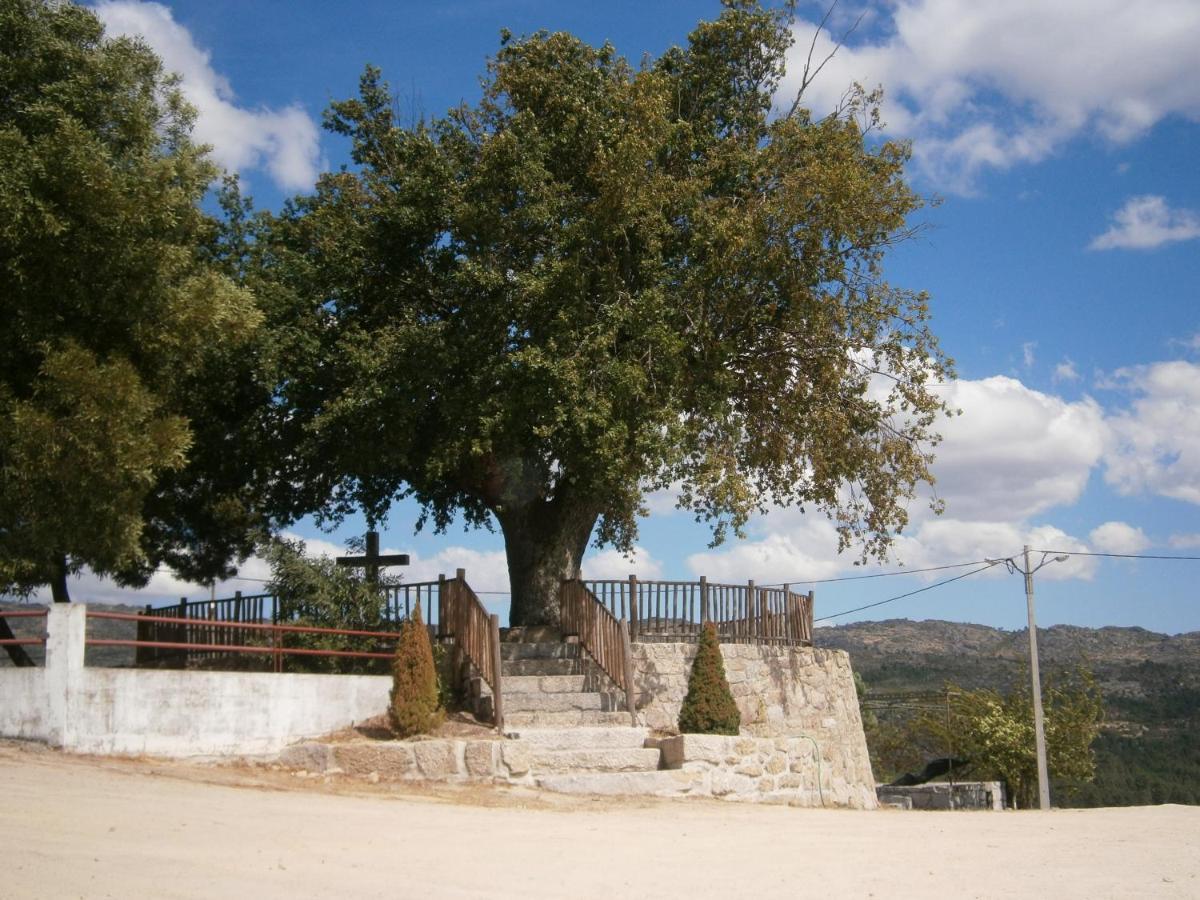 Vila Pinheirinhos - Quinta De Sao Caetano Carapito Exteriér fotografie