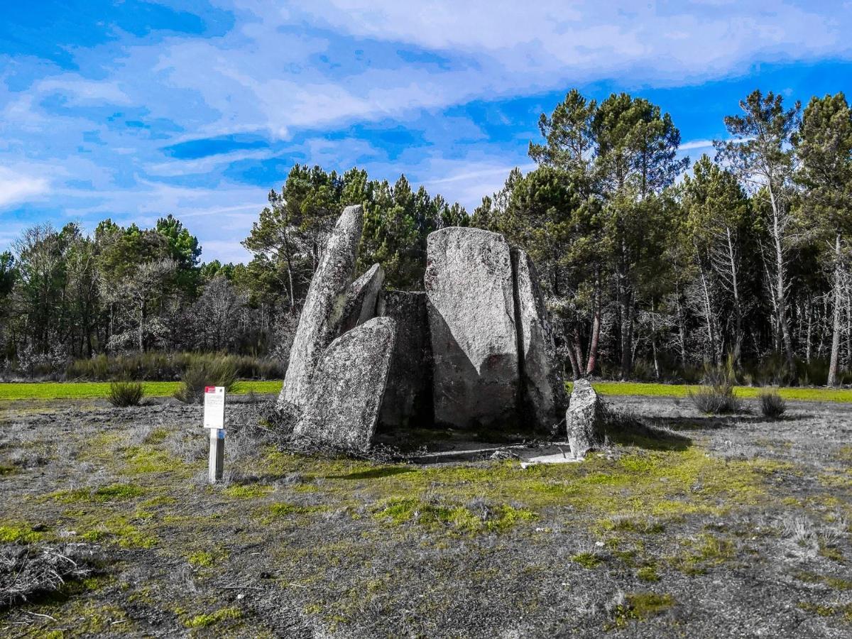 Vila Pinheirinhos - Quinta De Sao Caetano Carapito Exteriér fotografie
