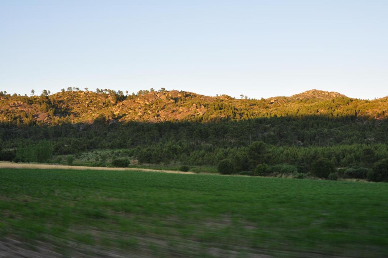 Vila Pinheirinhos - Quinta De Sao Caetano Carapito Exteriér fotografie