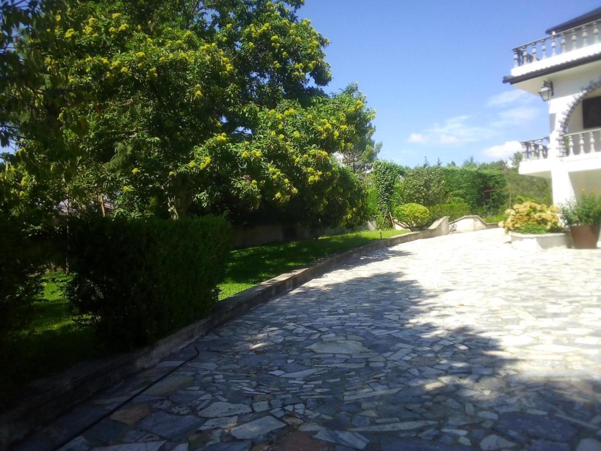 Vila Pinheirinhos - Quinta De Sao Caetano Carapito Exteriér fotografie